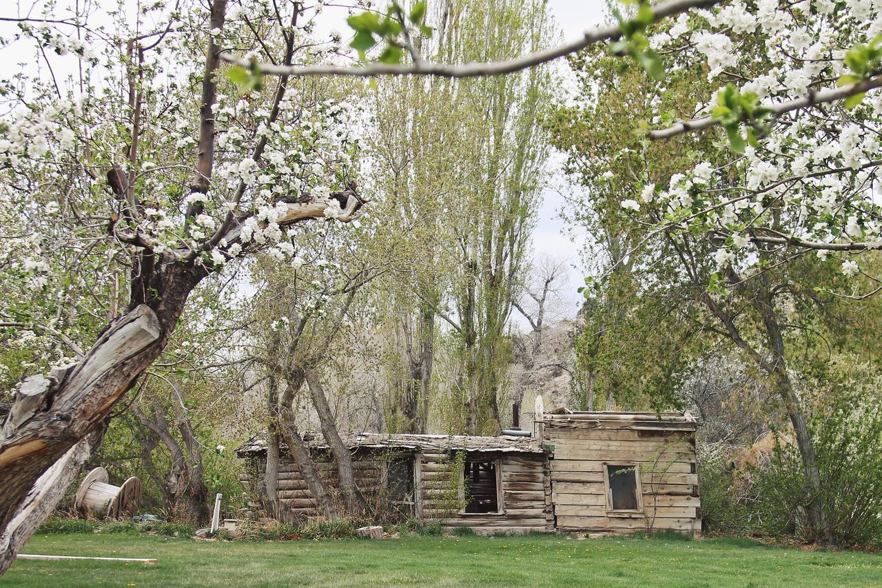Hidden Canyon Retreat Baker Exterior foto